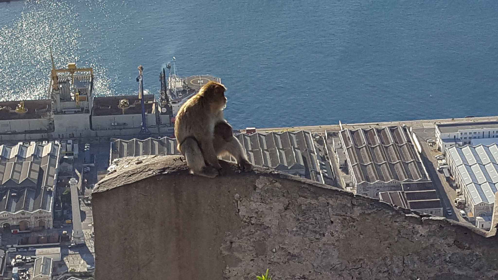 Gibraltar2